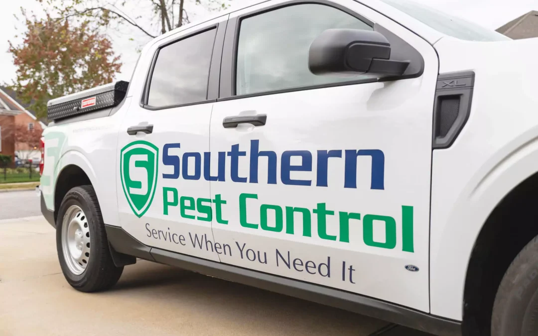 The Importance of Professional Pest Control Services
