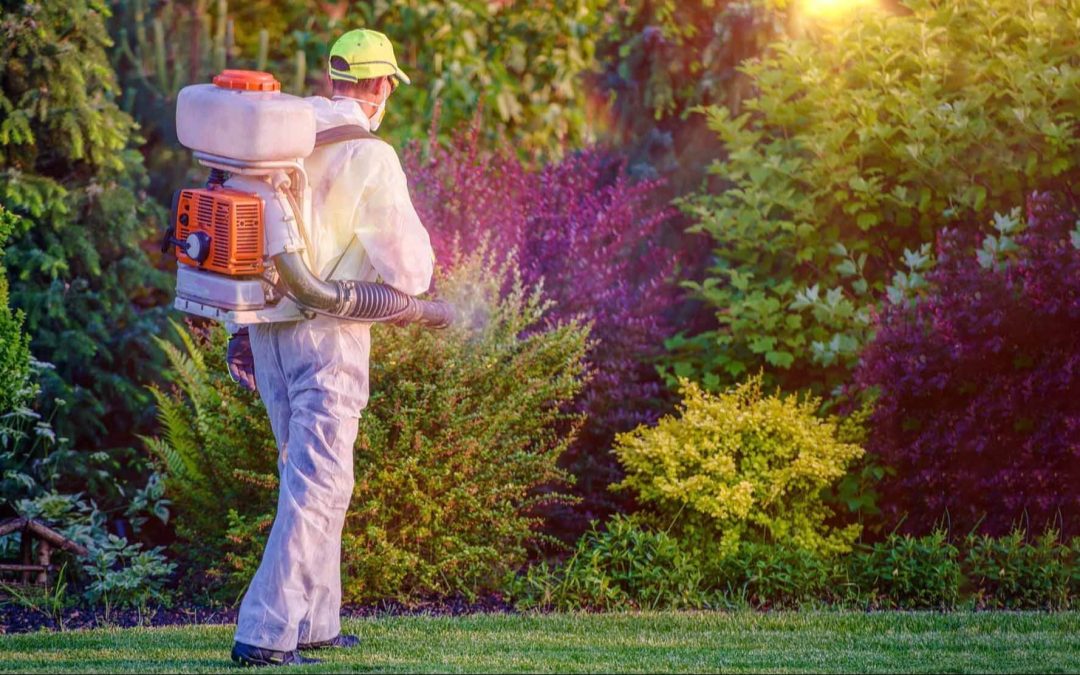 Spring Pest Prevention: How to Keep Bugs Out as the Weather Warms Up