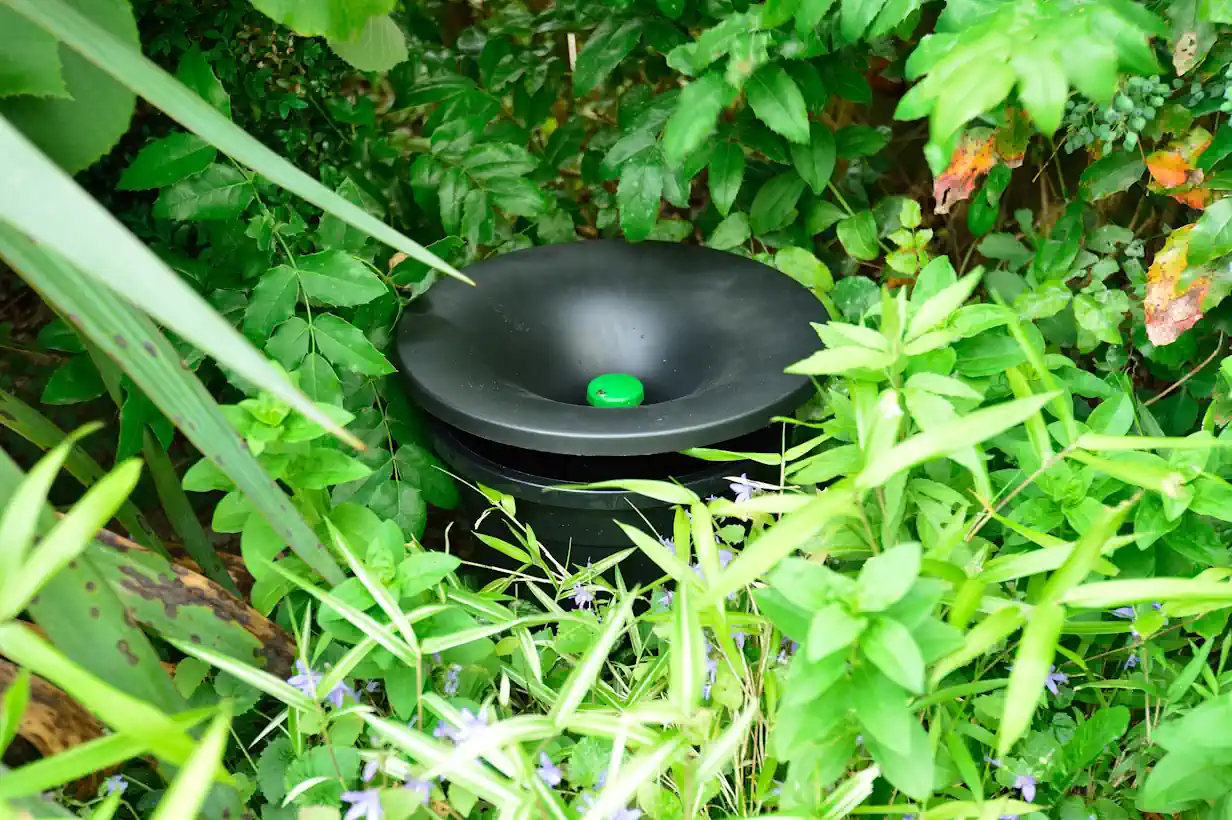 In2Care_Trap_in_yard3