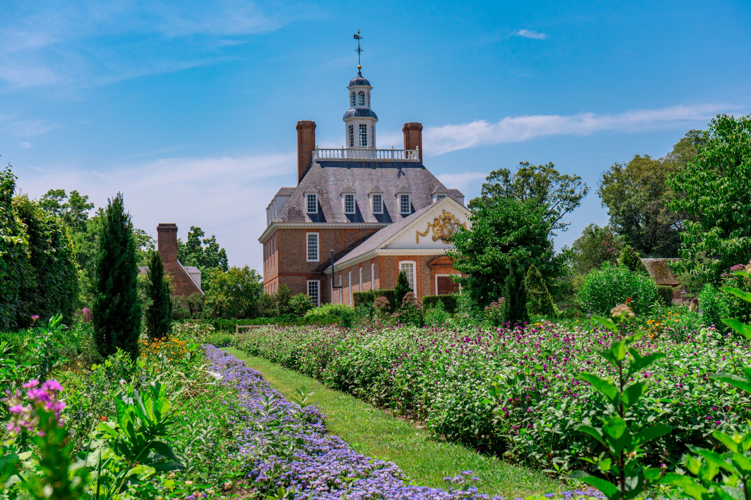 Pest control in Newport News, VA