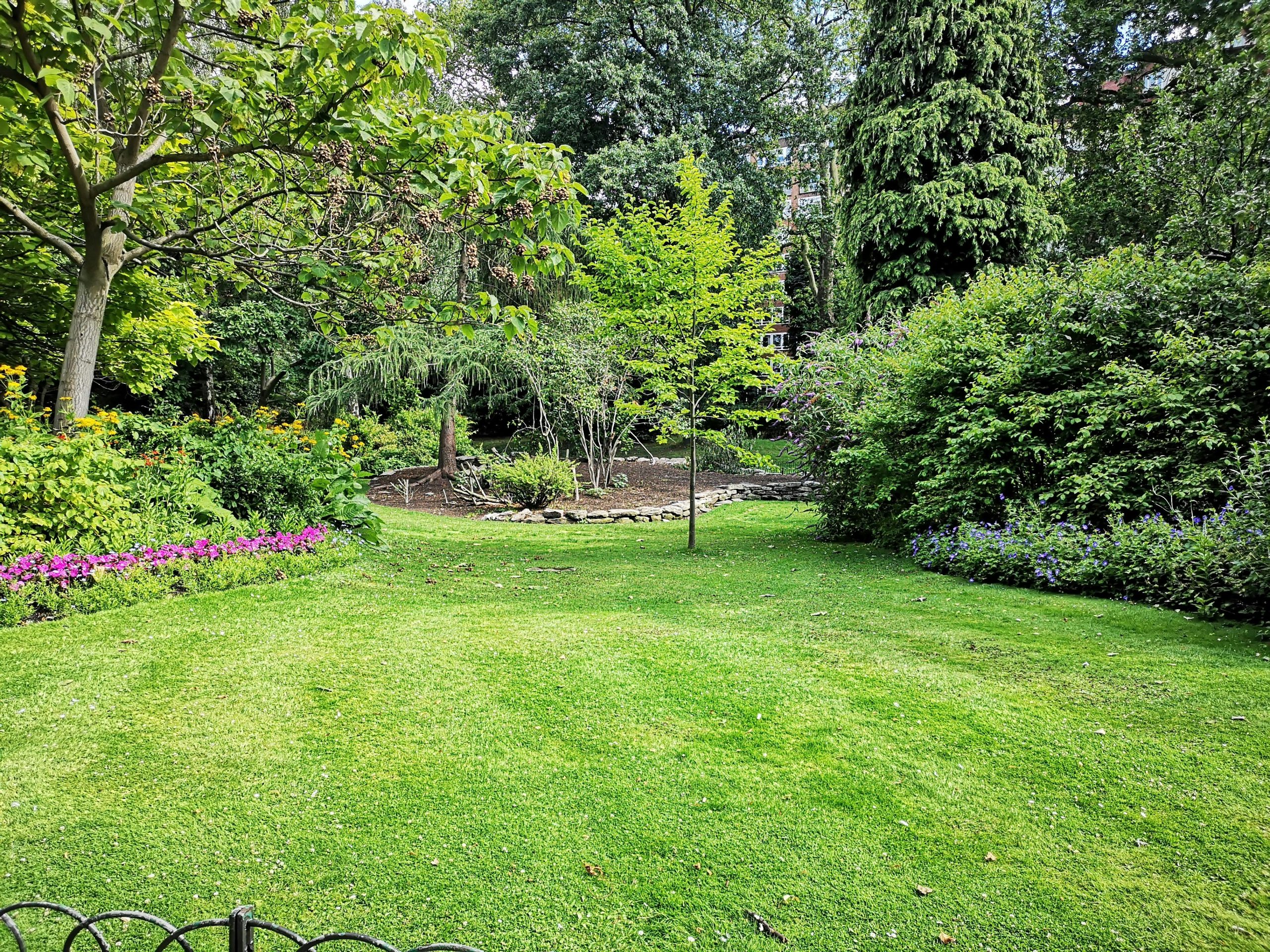 pest-free yard, lush, green tree-lined pest-free yard, lush, green tree-lined